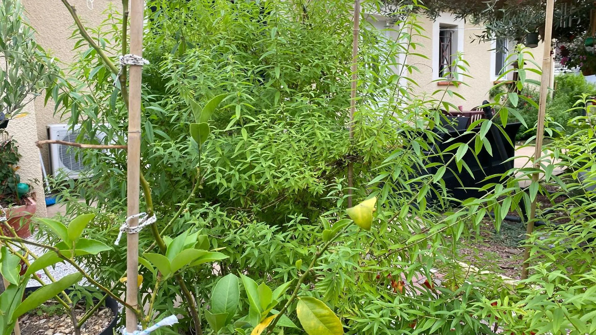 Apartamento Chez Ludivine Buzet-sur-Tarn Francia